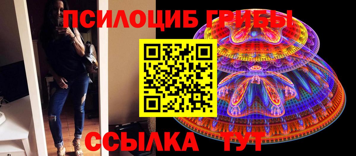 Псилоцибиновые грибы Psilocybe Качканар